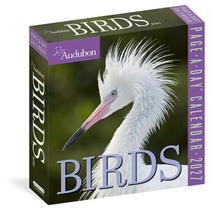Audubon Birds Page-A-Day® Calendar 2027