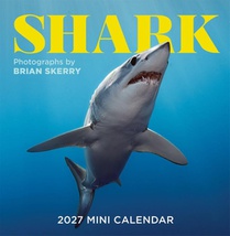 Skerry, B: Shark Mini Wall Calendar 2027