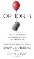 Option B