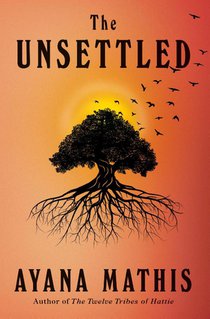 The Unsettled