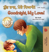 Goodnight, My Love! (Punjabi English Bilingual Book for Kids - Gurmukhi)