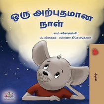 A Wonderful Day (Tamil Children's Book)