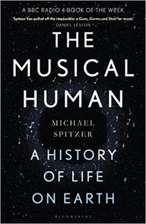 The Musical Human