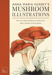 Anna Maria Hussey's Mushroom Illustrations