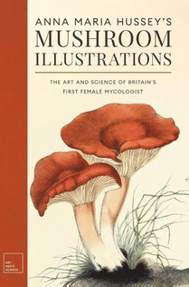 Anna Maria Hussey's Mushroom Illustrations