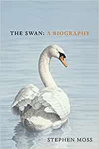 The Swan voorzijde