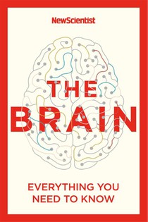 The Brain voorzijde