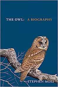 The Owl voorzijde