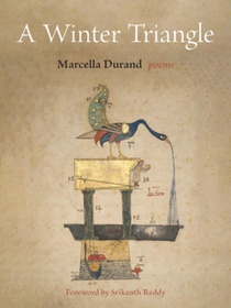 A Winter Triangle