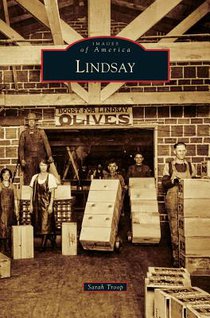 Lindsay