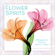 Flower Spirits: Radiographs of Nature by Steven N. Meyers