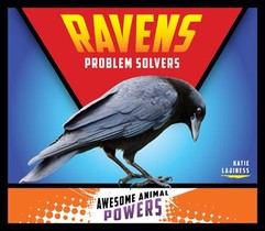 Ravens: Problem Solvers: Problem Solvers