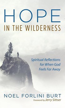 Hope in the Wilderness