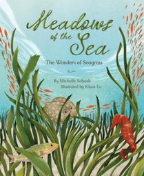 Meadows of the Sea: The Wonders of Seagrass