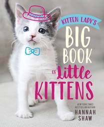KITTEN LADYS BBO LITTLE KITTEN