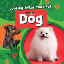 Your Dog