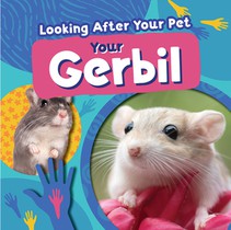 Your Gerbil