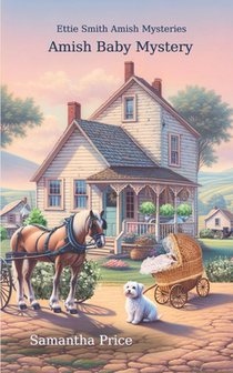 Amish Baby Mystery