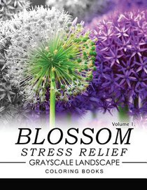 Blossom Stress Relief GRAYSCALE Landscape Coloring Books Volume 1