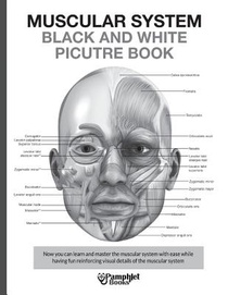 Muscular System Black and White Picture Book: Guide For The Muscular System