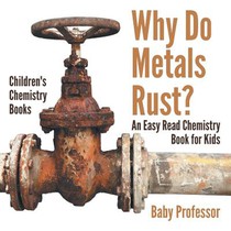 Why Do Metals Rust? an Easy Read Chemistry Book for Kids