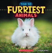 Furriest Animals (Wild World: Top 10)