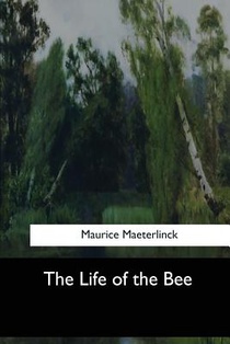 The Life of the Bee