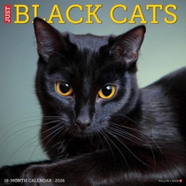 Black Cats 2026 Wall Calendar