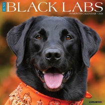 Black Labs 2026 Wall Calendar