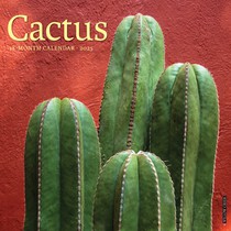 Cactus 2026 12 X 12 Wall Calendar
