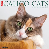 Calico Cats 2026 Wall Calendar