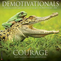 Demotivationals 2026 12 X 12 Wall Calendar