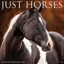 Horses 2026 12 X 12 Wall Calendar