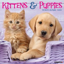 Kittens & Puppies 2026 12 X 12 Wall Calendar