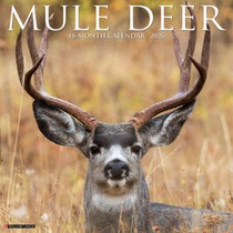 Mule Deer 2026 Wall Calendar