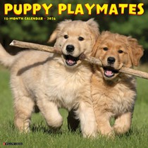 Puppy Playmates 2026 Wall Calendar