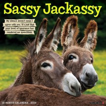 Sassy Jackassy 2026 Wall Calendar