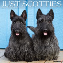 Scotties 2026 12 X 12 Wall Calendar