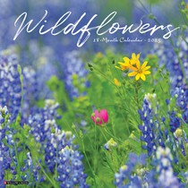 Wildflowers 2026 12 X 12 Wall Calendar