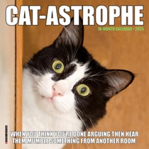Cat-Astrophe 2026 Mini Wall Calendar