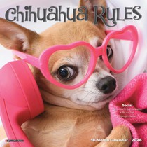 Chihuahua Rules 2026 Mini Wall Calendar