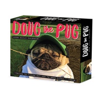 Doug the Pug 2026 5.4 X 6.2 Box Calendar-USA