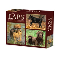 Just Labs 2026 Box Calendar