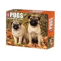 Just Pugs 2026 Box Calendar