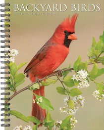 Backyard Birds 2026 6.5 X 8.5 Engagement Calendar