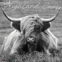 Highland Cows (B&w) 2026 Wall Calendar