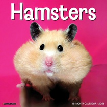 Hamsters 2026 Wall Calendar