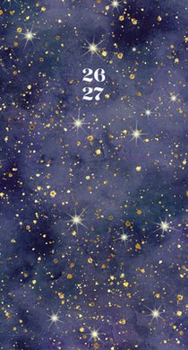Starry Night 2-Year 2026-27 3.5 X 6.5 Monthly Pocket Planner