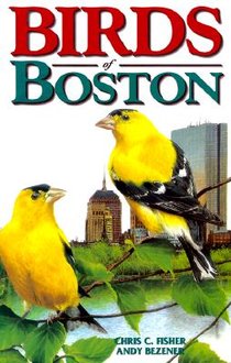 Birds of Boston