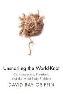 Unsnarling the World-Knot voorzijde